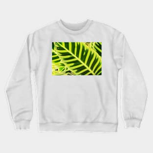 Leaf Crewneck Sweatshirt